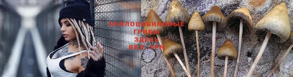 винт Мегион
