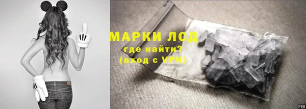 mdpv Медвежьегорск