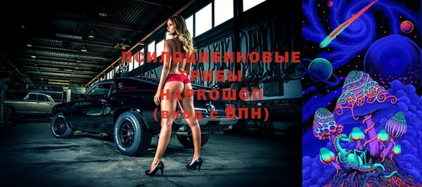 mdpv Медвежьегорск