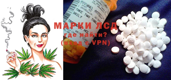 mdpv Медвежьегорск